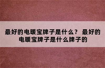 最好的电暖宝牌子是什么？ 最好的电暖宝牌子是什么牌子的